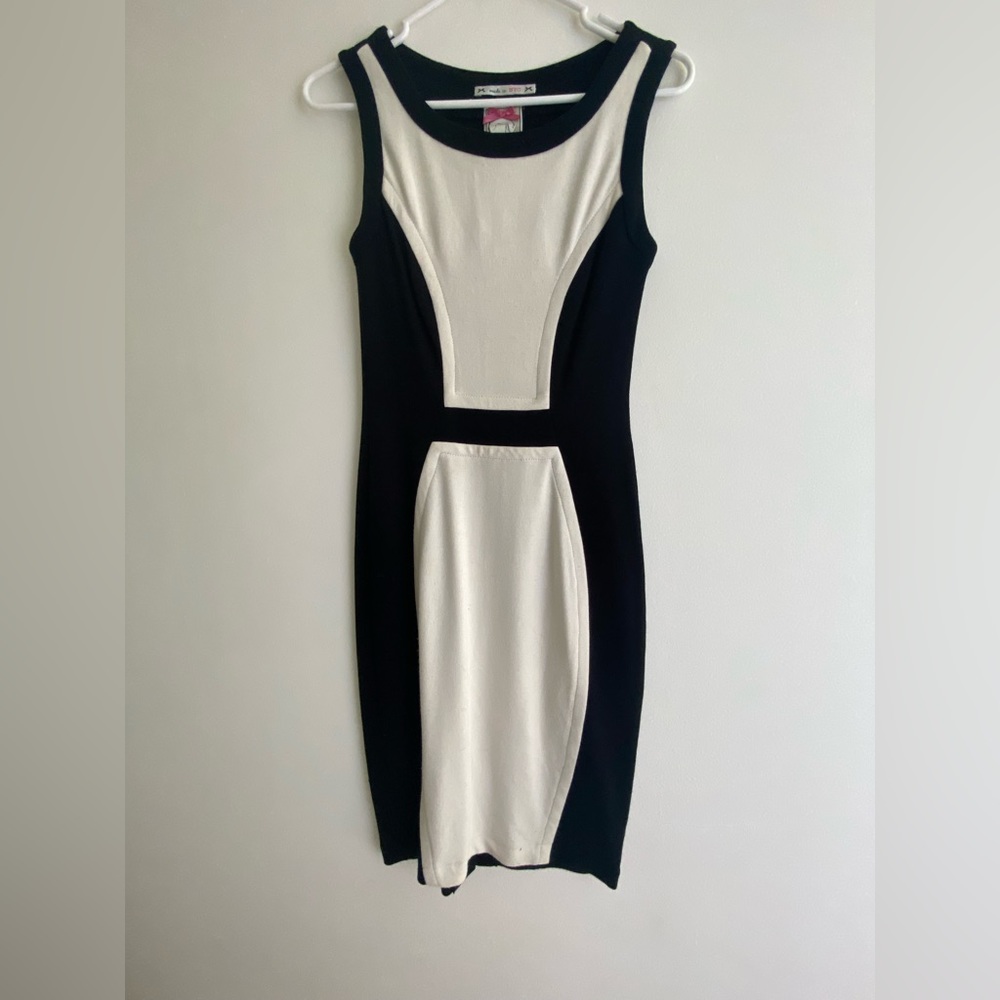 Hourglass Silhouette Cocktail Dress